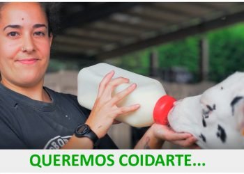 Estreamos vídeo! Hoxe ás 14:00 AGACA lanza novo vídeo que amosa o valor das cooperativas