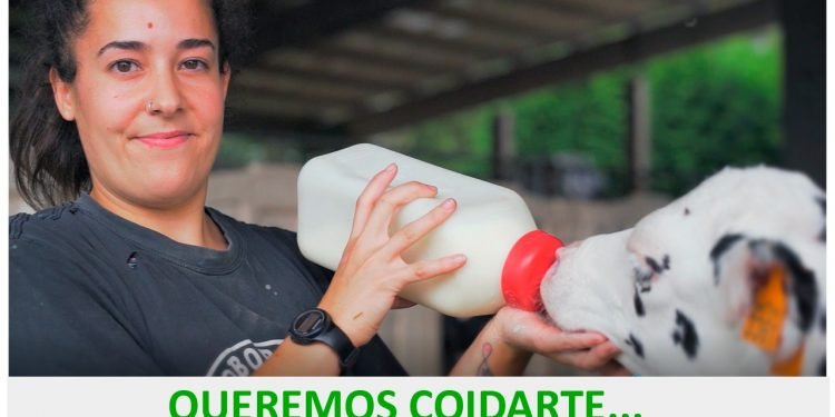 Estreamos vídeo! Hoxe ás 14:00 AGACA lanza novo vídeo que amosa o valor das cooperativas