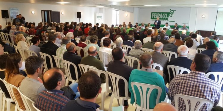 Feiraco, Os Irmandiños e Melisanto intégranse nunha nova cooperativa