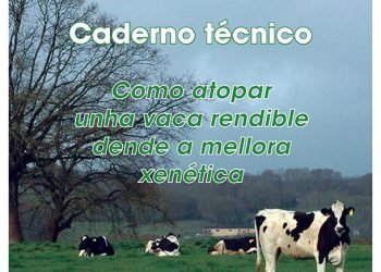 Caderno técnico: Como atopar unha vaca rendible dende a mellora xenética