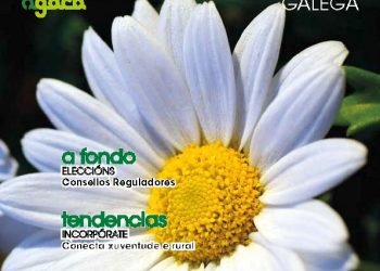 Cooperación Galega Nº 133 Maio 2017