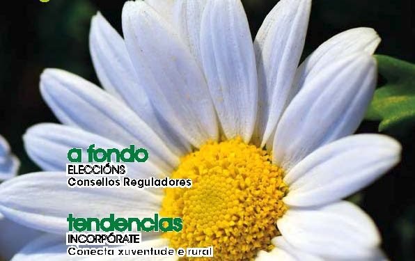 Cooperación Galega Nº 133 Maio 2017