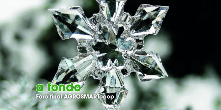 Cooperación Galega Nº141 Decembro 2018