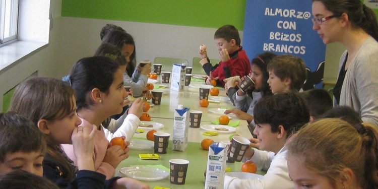 Almozos saudables e didácticos para escolares de Ourense
