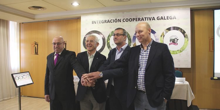Cuatro cooperativas ganaderas gallegas proyectan su integración en una cooperativa de segundo grado