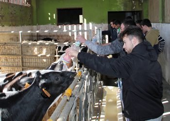 Casa Grande de Xanceda acolle a súa primeira xornada de promoción do cooperativismo entre estudantes, con Rede Eusumo