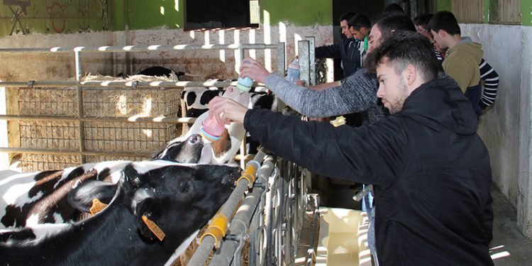 Casa Grande de Xanceda acolle a súa primeira xornada de promoción do cooperativismo entre estudantes, con Rede Eusumo