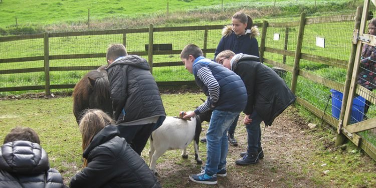 Estudantes de Teixeiro aprenden cooperativismo con AGACA e Rede Eusumo