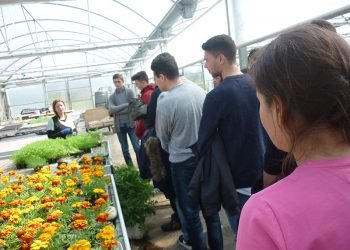 Terra de Trasancos acolle un obradoiro para estudantes sobre saídas profesionais no rural