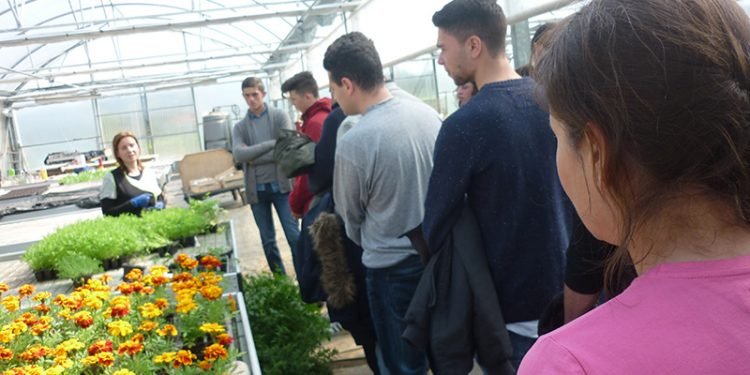 Terra de Trasancos acolle un obradoiro para estudantes sobre saídas profesionais no rural
