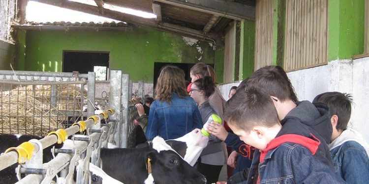 Estudantes de Rábade coñecen o cooperativismo con AGACA e Casa Grande de Xanceda