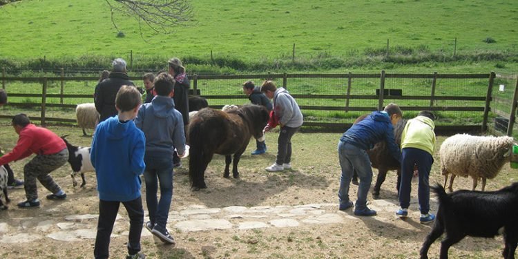 Casa Grande de Xanceda e AGACA mostran o cooperativismo a escolares de Guitiriz