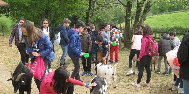 Cincuenta escolares de Lugo descobren a economía social en Xanceda