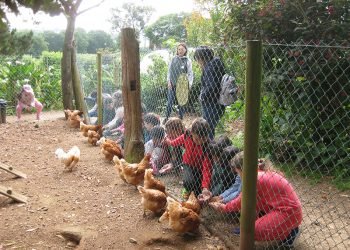 Escolares de Lugo aprenden cooperativismo en Casa Grande de Xanceda