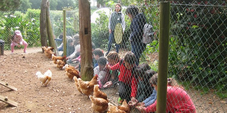 Escolares de Lugo aprenden cooperativismo en Casa Grande de Xanceda