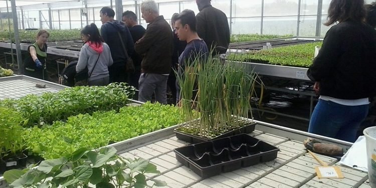 Terra de Trasancos e Rede Eusmo abren o cooperativismo a estudantes de Ferrol