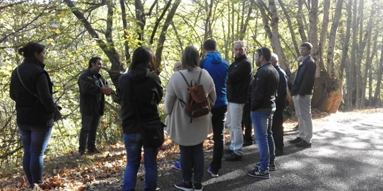 O 10 e 11 de outubro celebráronse as xornadas gratuítas sobre produción de castaña en Cervantes