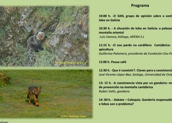 Xornada de O XAN sobre convivencia entre apicultura, lobo e oso o 13 de outubro