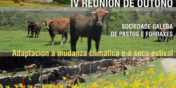 A IV Reunión de Outono da Sociedade Galega de Pastos e Forraxes será o 20 e 21 de outubro