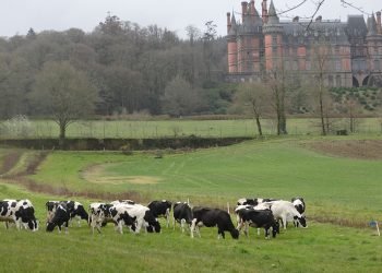 Reducir o intervalo e duración  do muxido diario na Bretaña francesa, no marco de EuroDairy