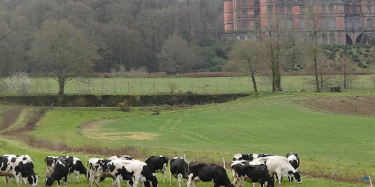 Reducir o intervalo e duración  do muxido diario na Bretaña francesa, no marco de EuroDairy