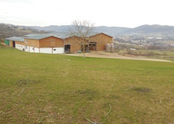 Gandería leiteira competitiva en zonas montañosas francesas: estudo dunha granxa do proxecto EuroDairy