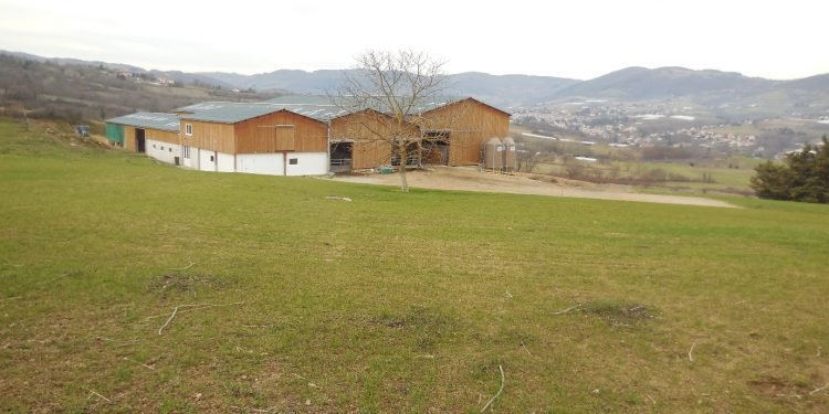 Gandería leiteira competitiva en zonas montañosas francesas: estudo dunha granxa do proxecto EuroDairy