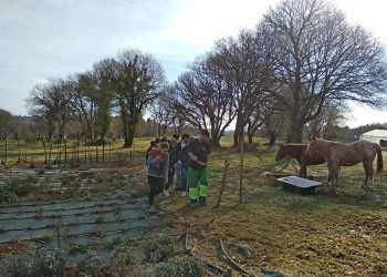 Rede Eusumo e AGACA retoman en Milhulloa a divulgación do cooperativismo entre estudantes