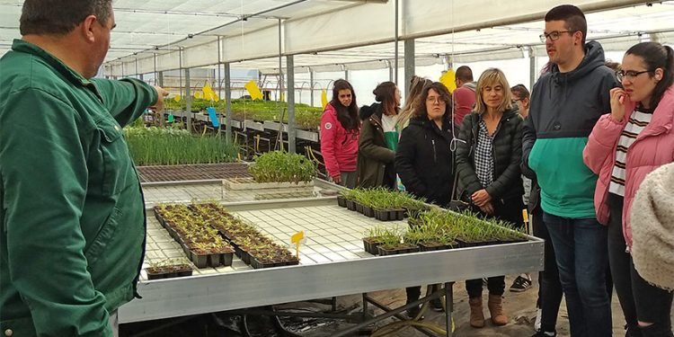 Obradoiros de economía social para 70 estudantes, en Trasancos