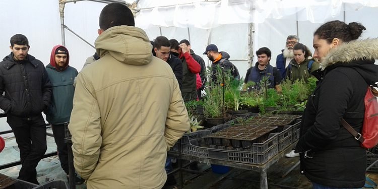 Estudantes de Pontevedra viaxan a Milhulloa para aprender cooperativismo
