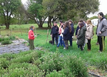 Agaca promove en Palas de Rei a economía social entre estudantes