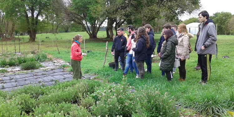 Agaca promove en Palas de Rei a economía social entre estudantes