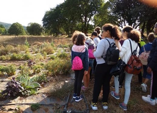 Sesenta escolares de Vilalba aprenden cooperativismo en Milhulloa