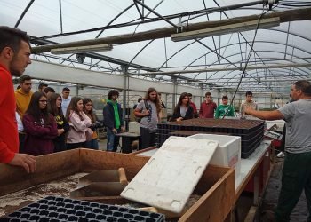 Trinta escolares de Sergude aprenden cooperativismo en Trasancos