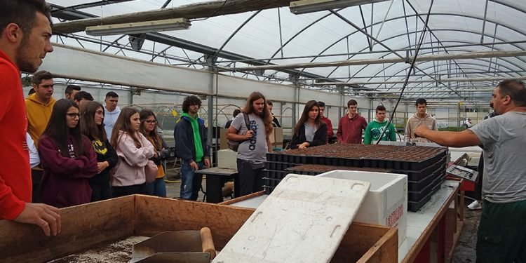 Trinta escolares de Sergude aprenden cooperativismo en Trasancos