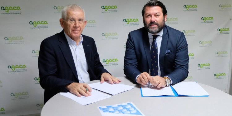 AGACA y Tinsa firman un convenio de colaboración para valoraciones y tasaciones de propiedades