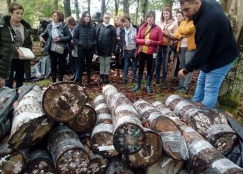 Condes de Albarei conclúe con éxito un obradoiro de apoderamento coas mulleres socias