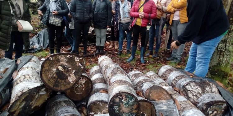 Condes de Albarei conclúe con éxito un obradoiro de apoderamento coas mulleres socias