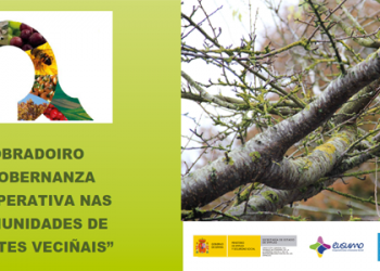 — Do 25 ao 29 de marzo: “Gobernanza Cooperativa das Comunidades de Montes Veciñais” – Pol