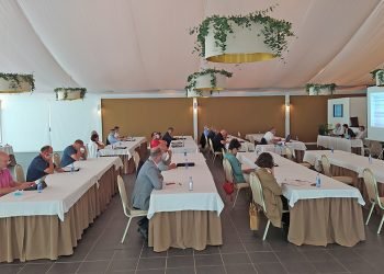 Delagro, preto dos 200 millóns de euros en vendas en 2019