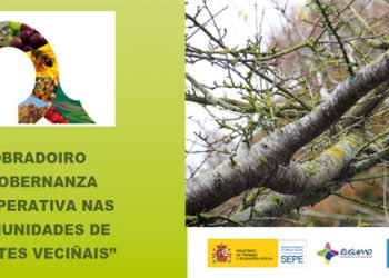 CANCELADO — Do 27 ao 31 de xullo: obradoiro “Gobernanza Cooperativa de Montes Veciñais” en Vilagarcía