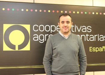 La carne de vacuno en sus horas más bajas