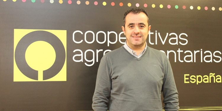 La carne de vacuno en sus horas más bajas