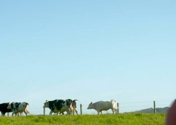 Ganaderos e industrias lácteas: Compromiso con la sostenibilidad