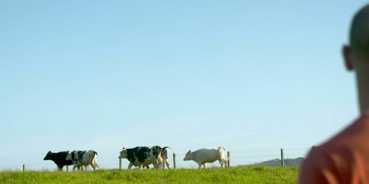 Ganaderos e industrias lácteas: Compromiso con la sostenibilidad