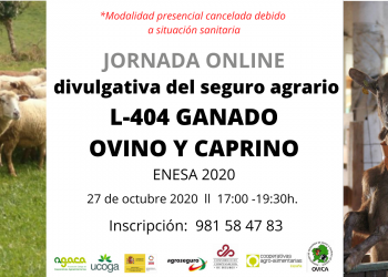 Jornada online sobre seguro agrario ovino y caprino el 27 de octubre. Inscripción abierta.