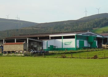 As ganderías ÚNICLA de Feiraco, primeiras galegas certificadas por Aenor en benestar animal