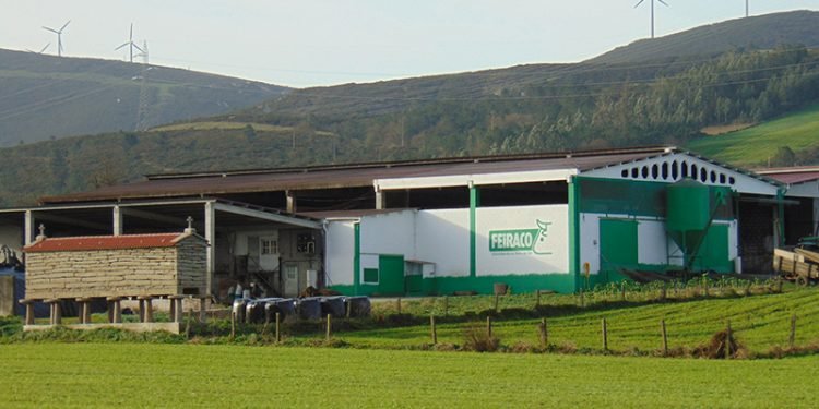 As ganderías ÚNICLA de Feiraco, primeiras galegas certificadas por Aenor en benestar animal