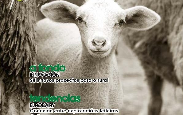 Cooperación Galega Nº 132 Marzo 2017