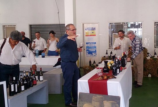 Pedro Ballesteros, Master of Wine, augura un gran futuro aos tintos da D.O. Rías Baixas